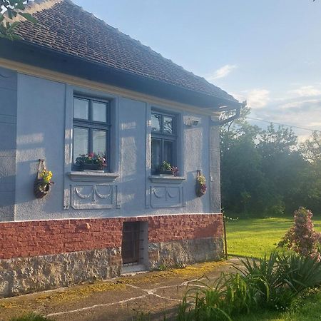 Apartmani Petkovic 226 Velika Drenova Екстериор снимка