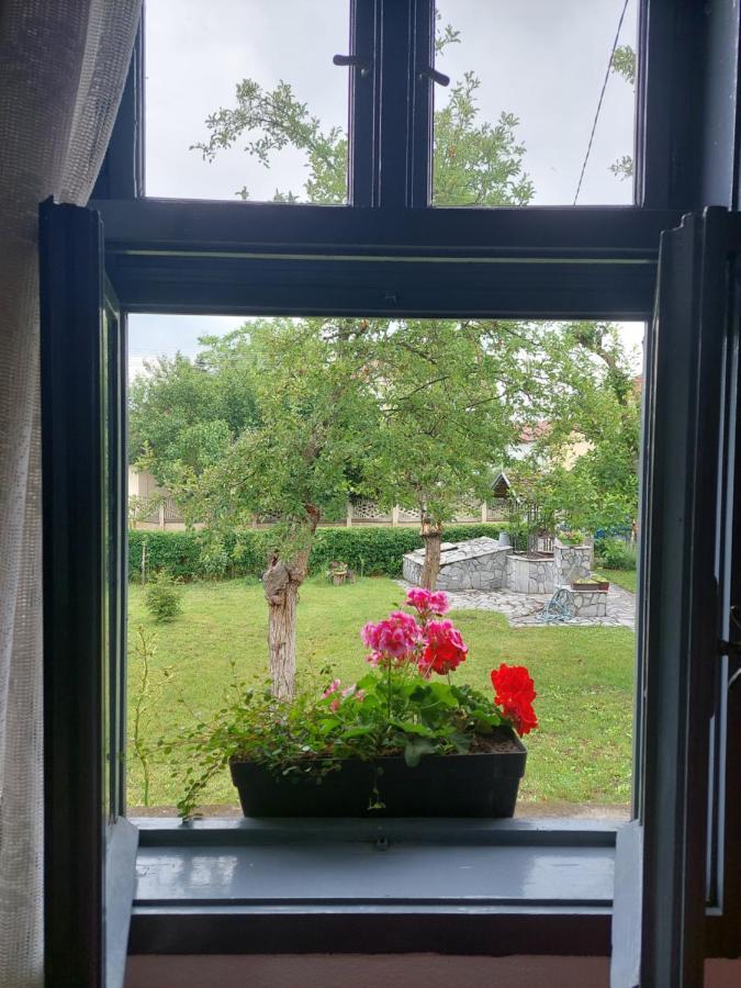 Apartmani Petkovic 226 Velika Drenova Екстериор снимка