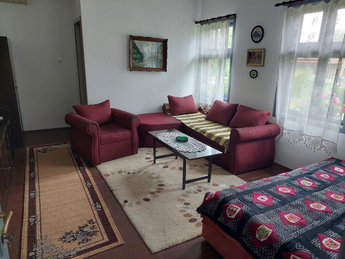 Apartmani Petkovic 226 Velika Drenova Екстериор снимка