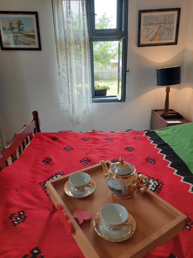 Apartmani Petkovic 226 Velika Drenova Екстериор снимка
