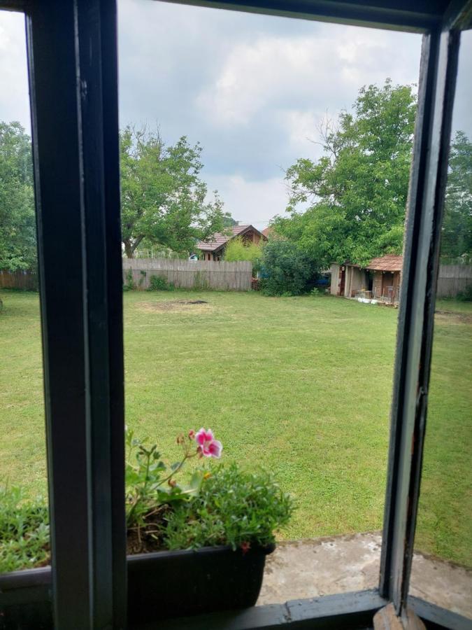 Apartmani Petkovic 226 Velika Drenova Екстериор снимка