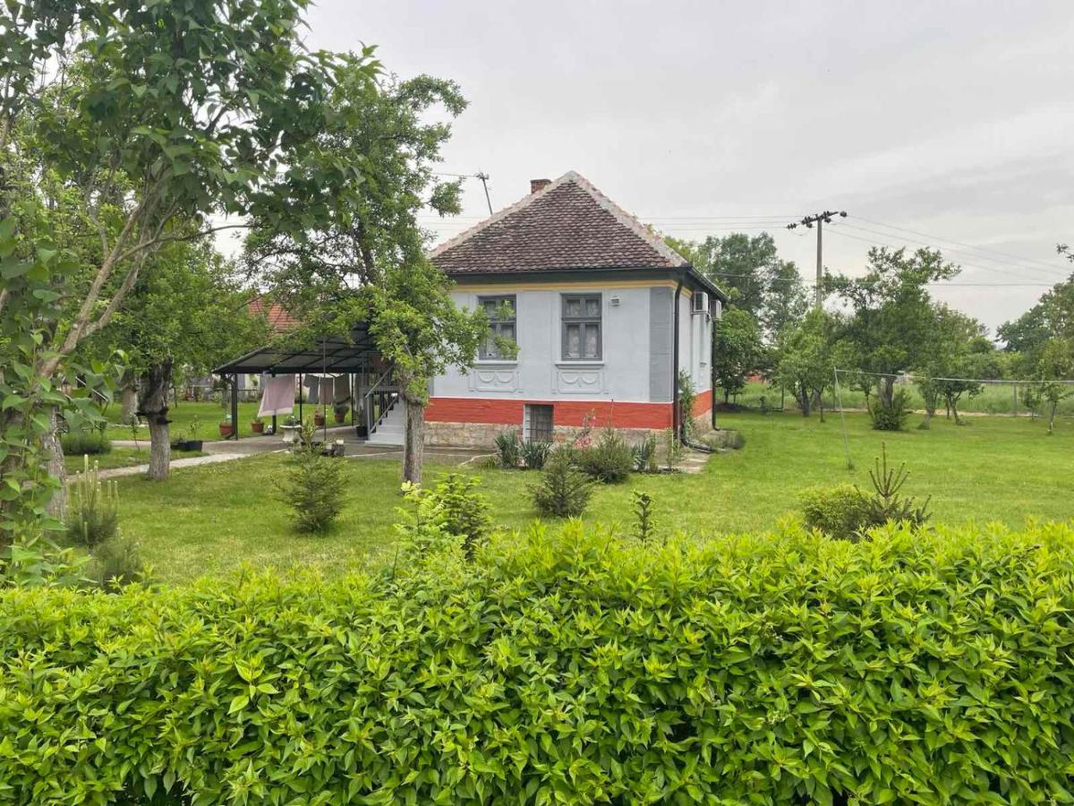 Apartmani Petkovic 226 Velika Drenova Екстериор снимка