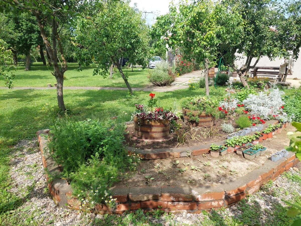 Apartmani Petkovic 226 Velika Drenova Екстериор снимка