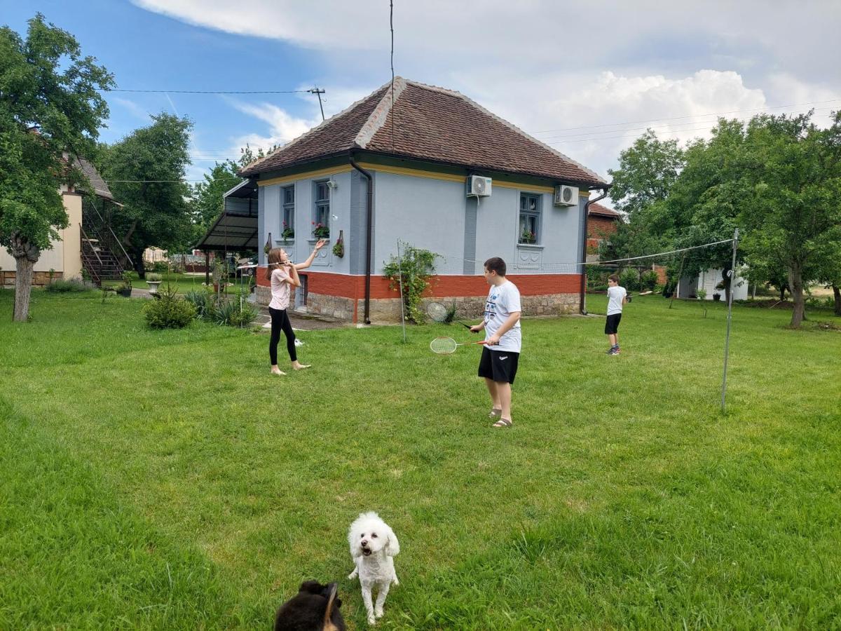 Apartmani Petkovic 226 Velika Drenova Екстериор снимка
